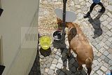altenburg-trachtenfest-02-06-2012 (57)